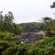 Illustration for article titled Tofino and Ucluelet